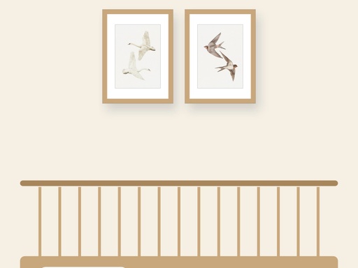 Set of 2 frames