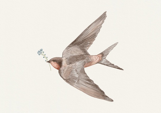 Golondrina con florcita