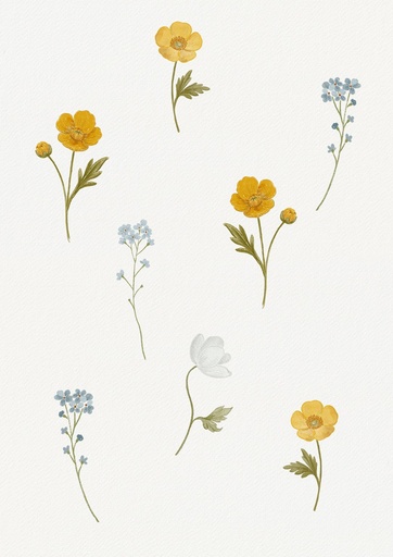 Flores silvestres