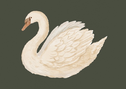 Cisne sobre verde oscuro